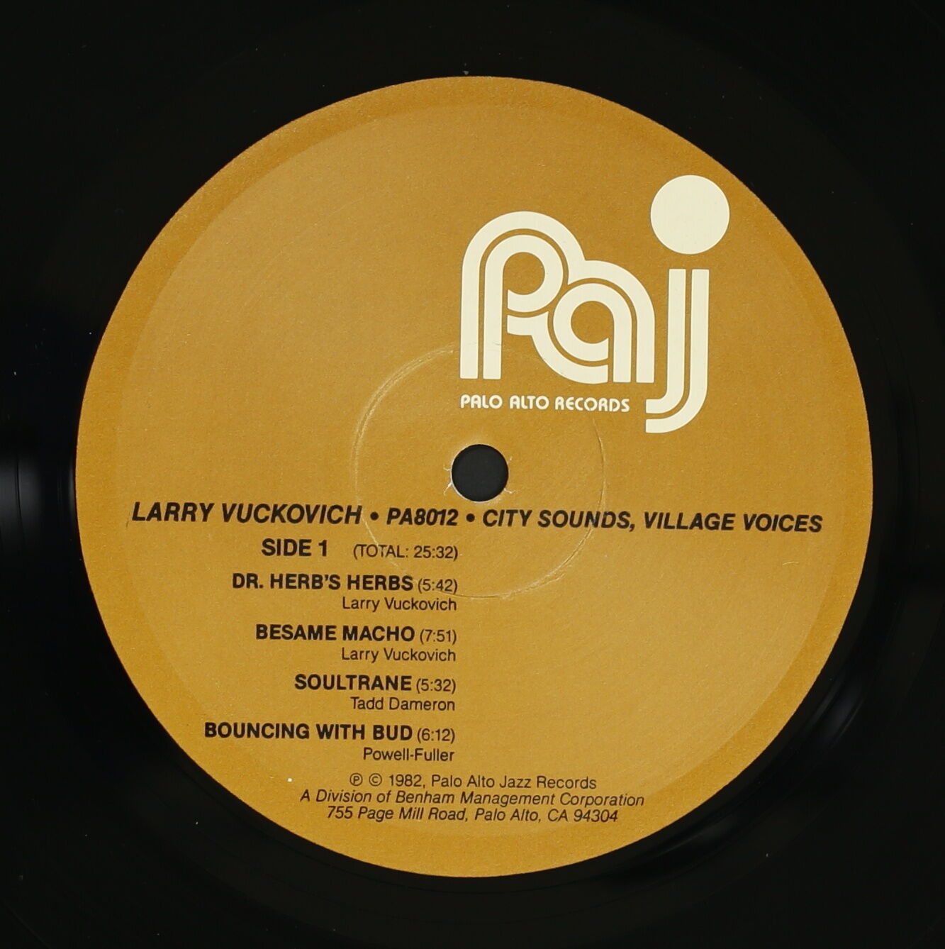 LARRY VUCKOVICH / CITY SOUNDS, VILLAGE VOICES