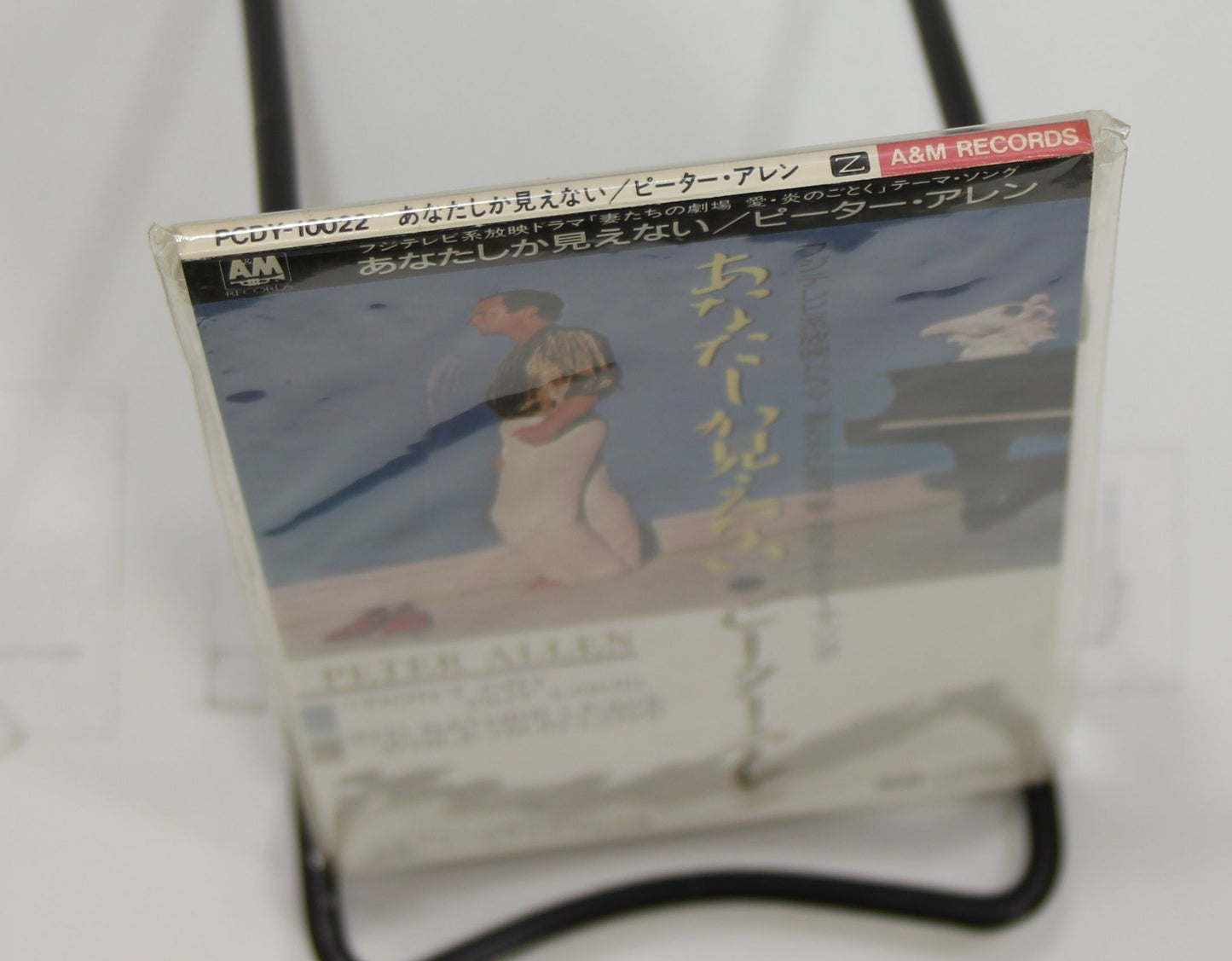 ピーター・アレン / あなたしか見えない