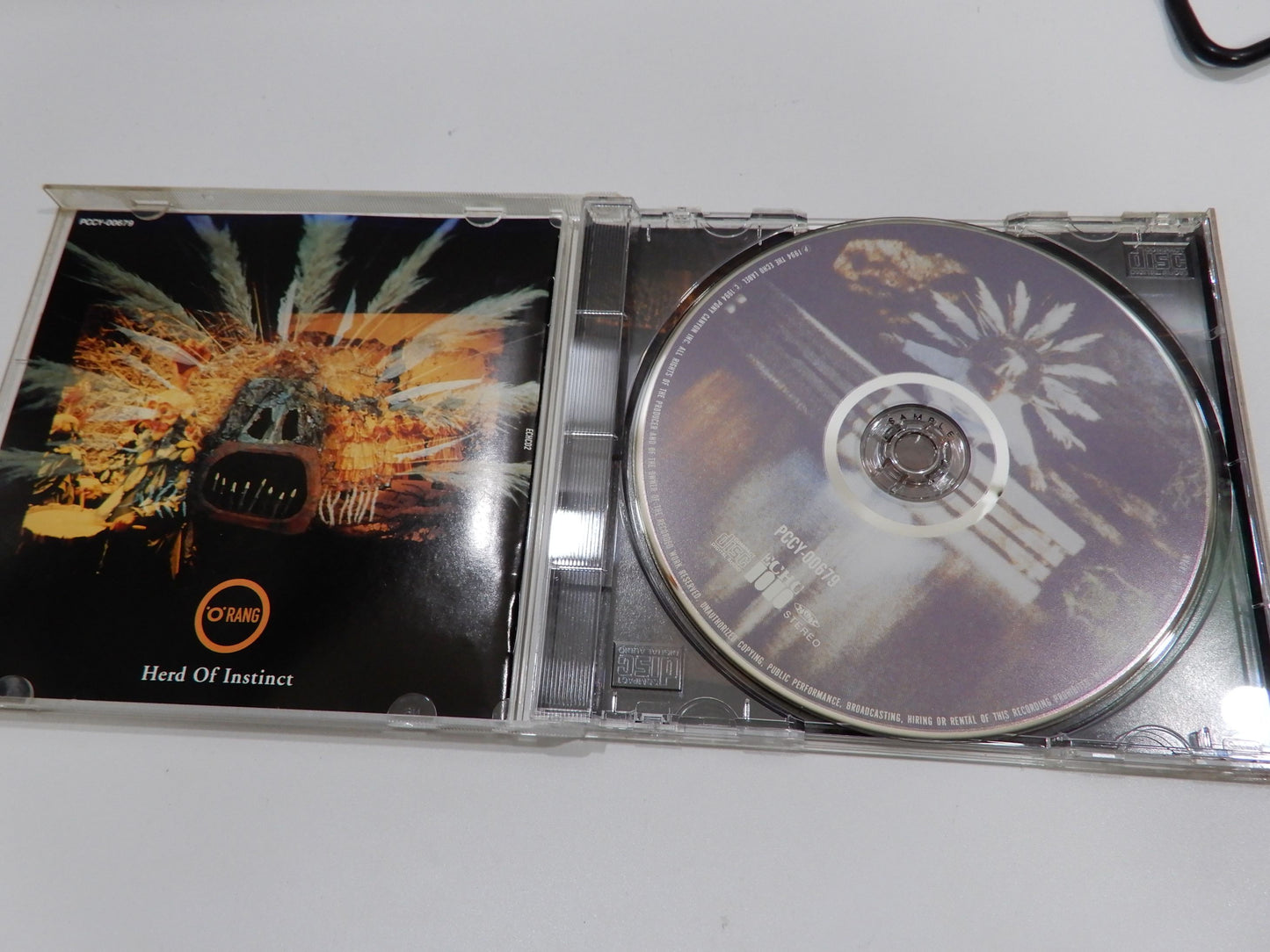 オラング / 本能