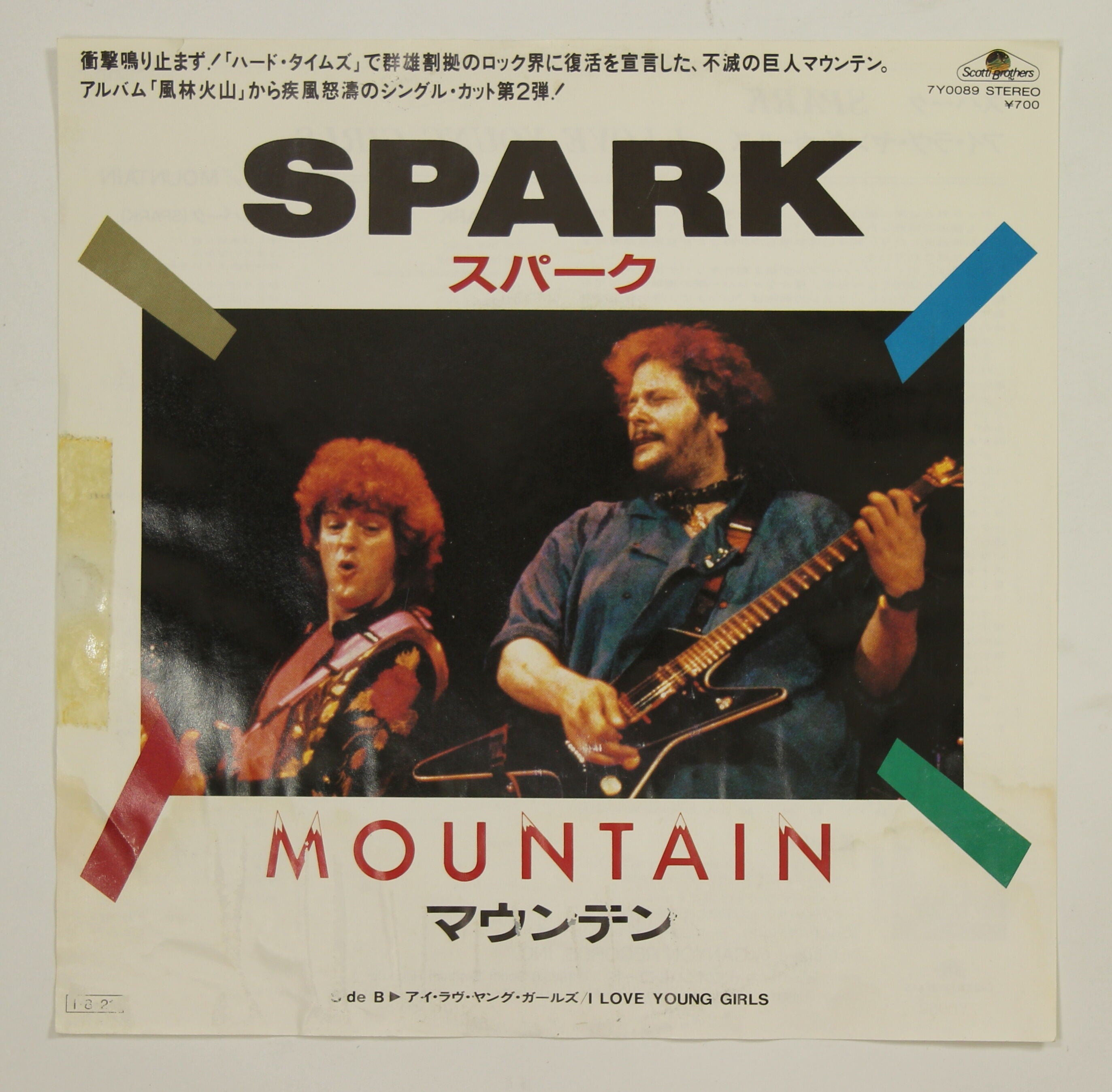 BIG MOUNTAIN / TSUNAMI カバー レコード THE BIG MOUNTAIN / The Wave Of Love / Let's Sta