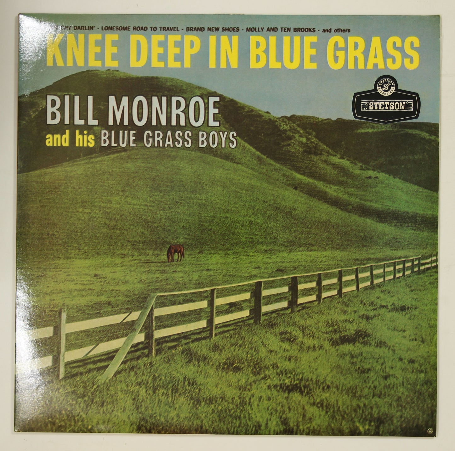BILL MONROE AND HIS BLUE GRASS BOYS / KNEE DEEP IN BLUE GRASS